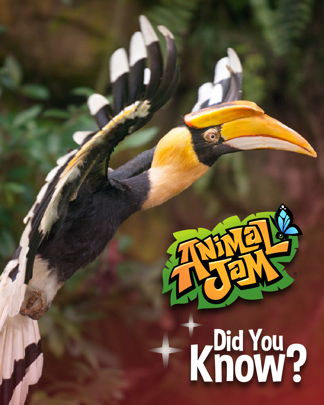 20260914 LiveAnimalFacts-01