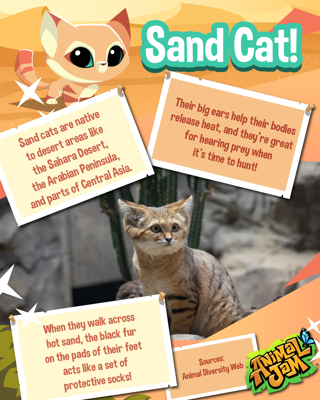 20250808 Live Animal Facts-04