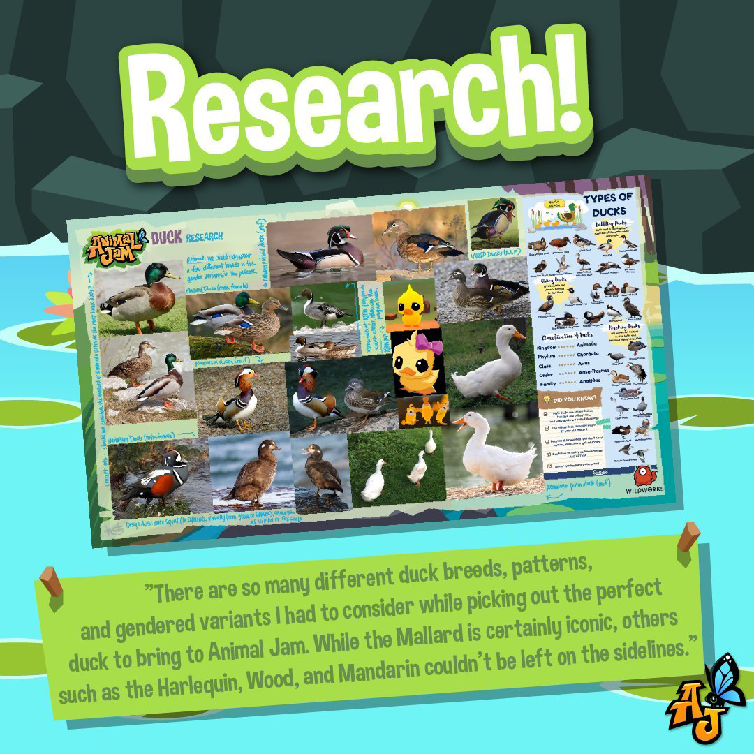research duck