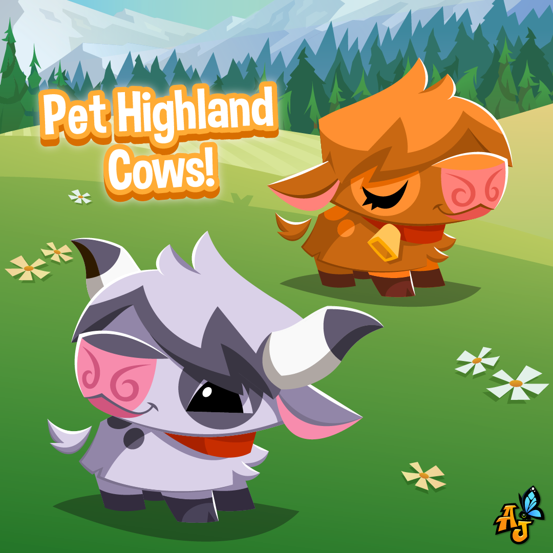 Pet Highland Cows have trotted into Animal Jam! - The Daily Explorer