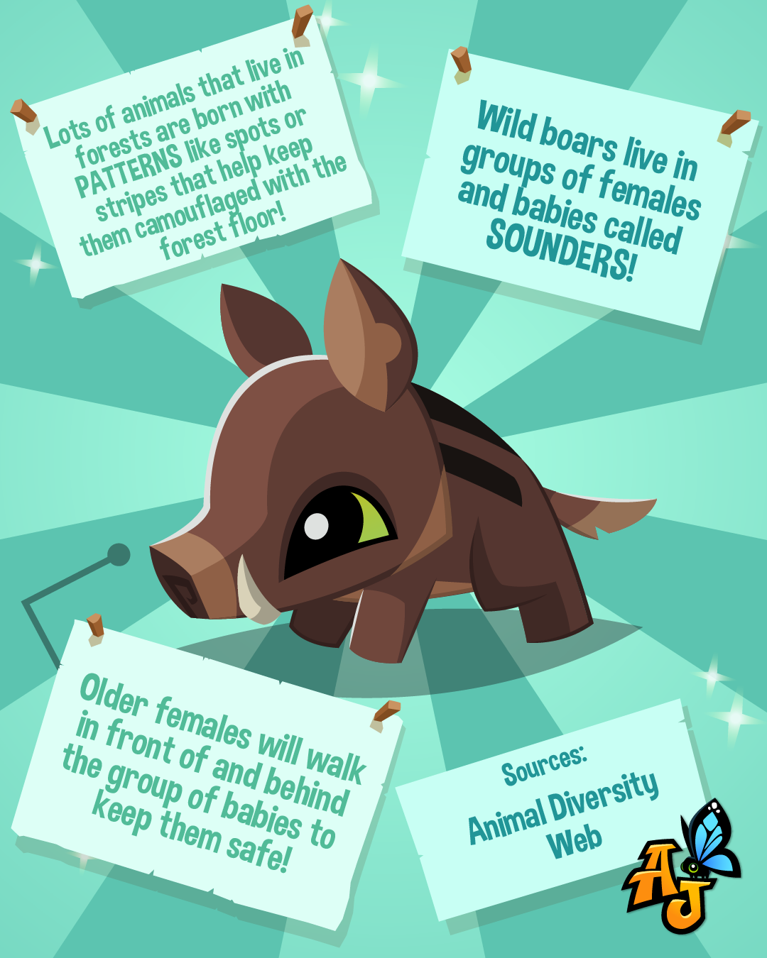 2026 Bear & boar Live animal Post-07