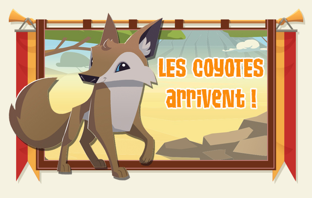 Nouvel Animal - Le Coyote - Le Petit Explorateur