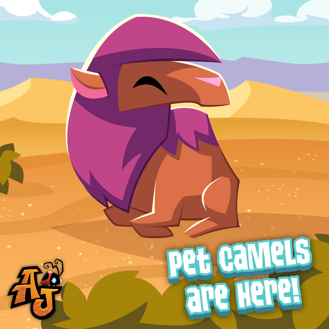 Pets page 2 The Daily Explorer