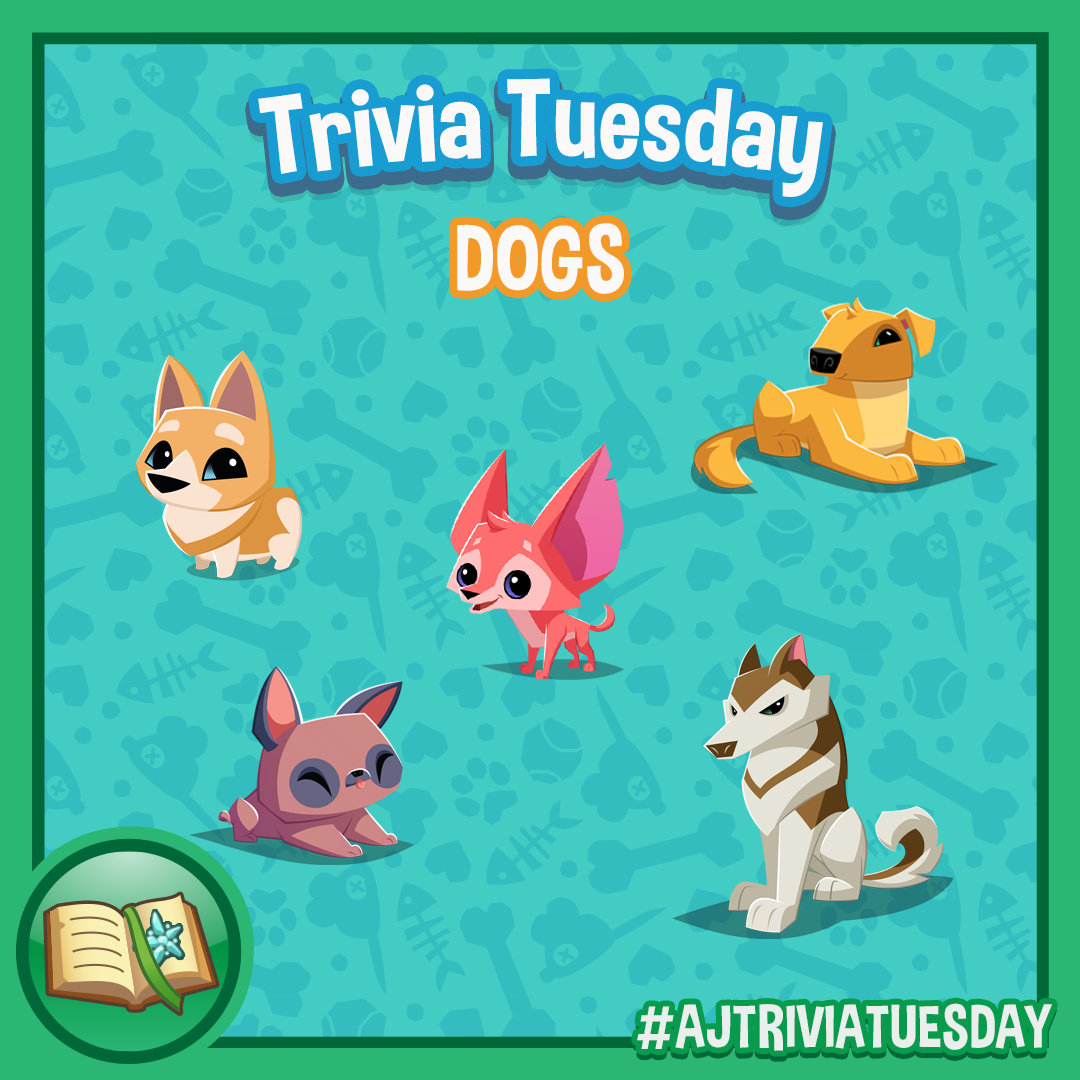 Trivia Tuesday Dogs