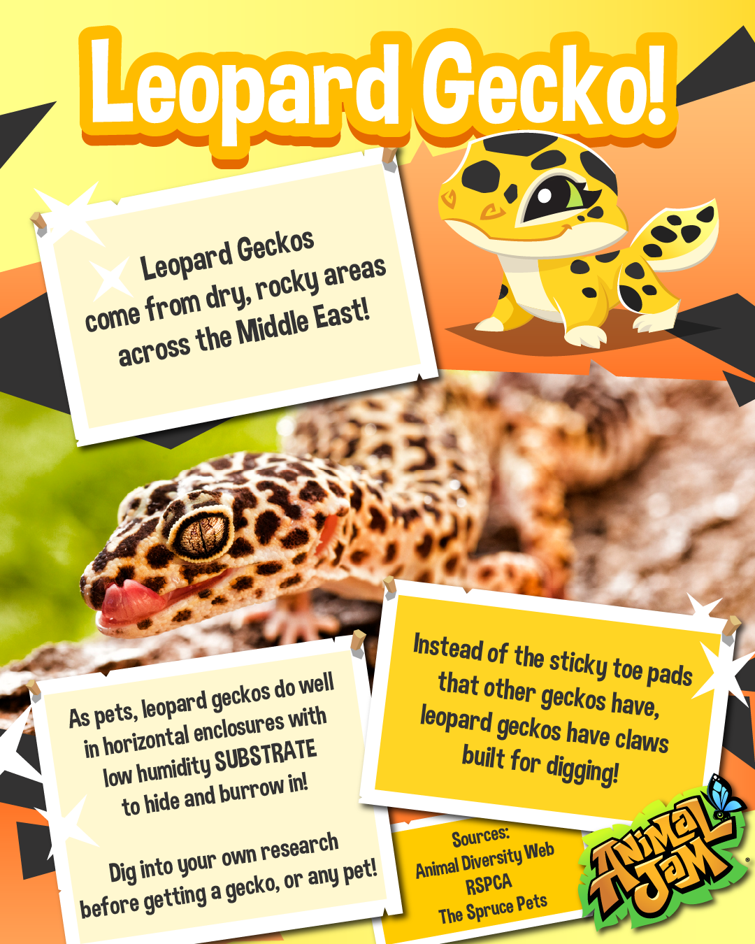 20250708 Animal Fact Macaw and Leopard Gecko-04