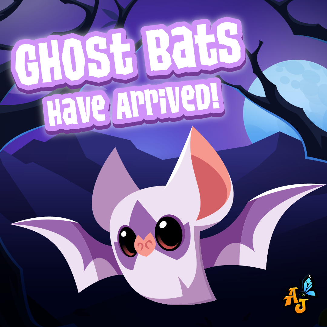 20241010 Ghost Bats have arrived!-01 (1)