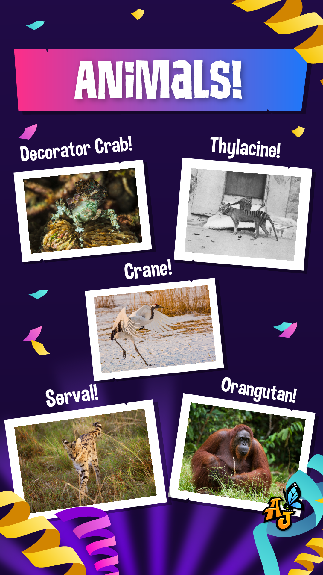 20250527 Vote for Your animal&pet!-10