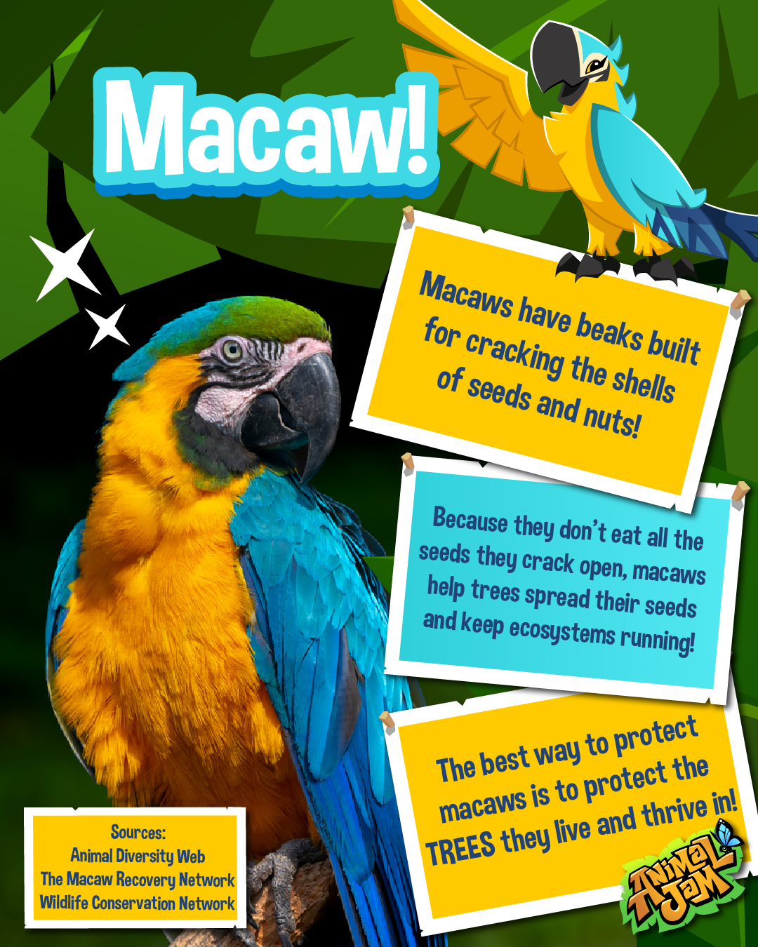 20250708 Animal Fact Macaw and Leopard Gecko-01