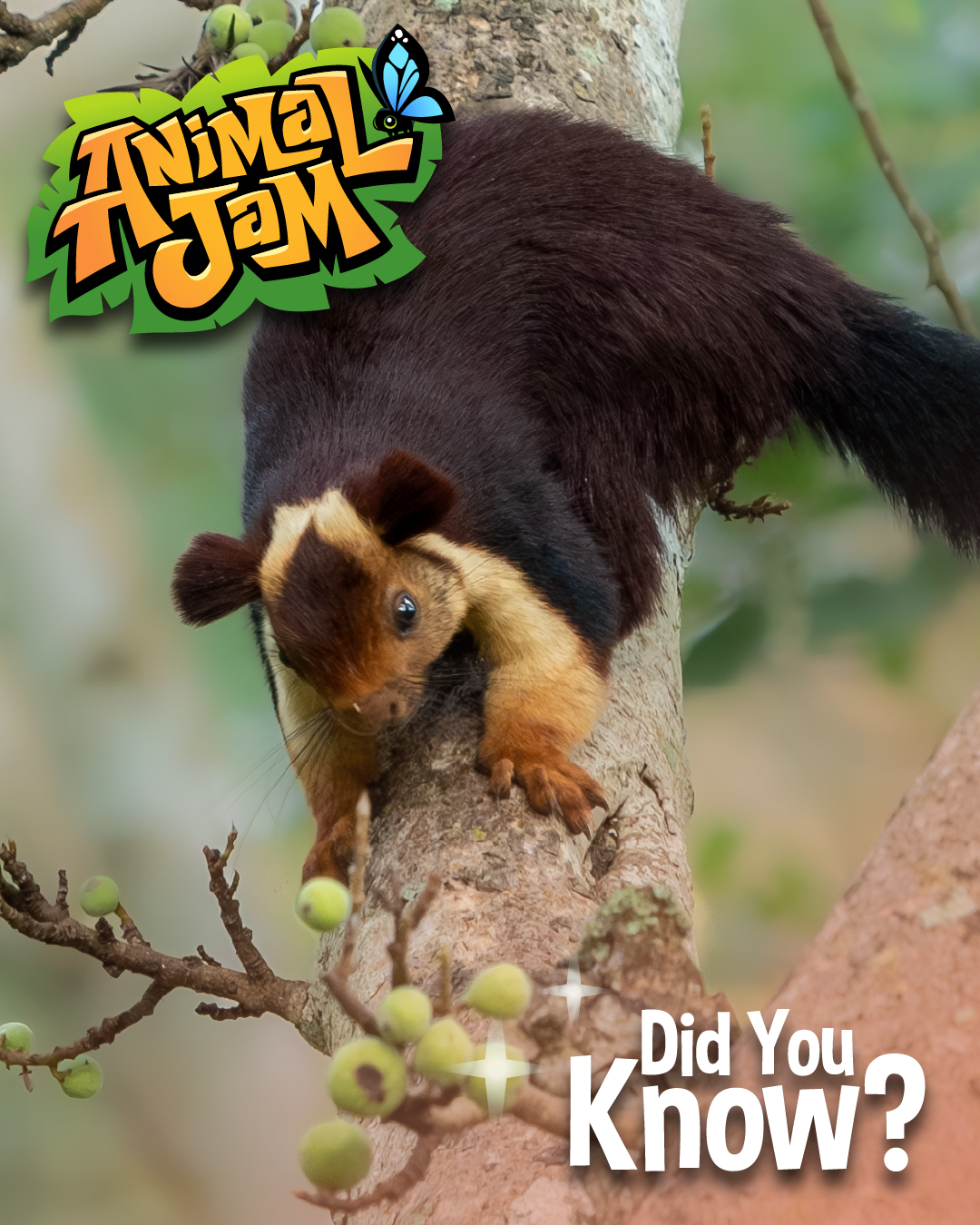 20260914 LiveAnimalFacts-05