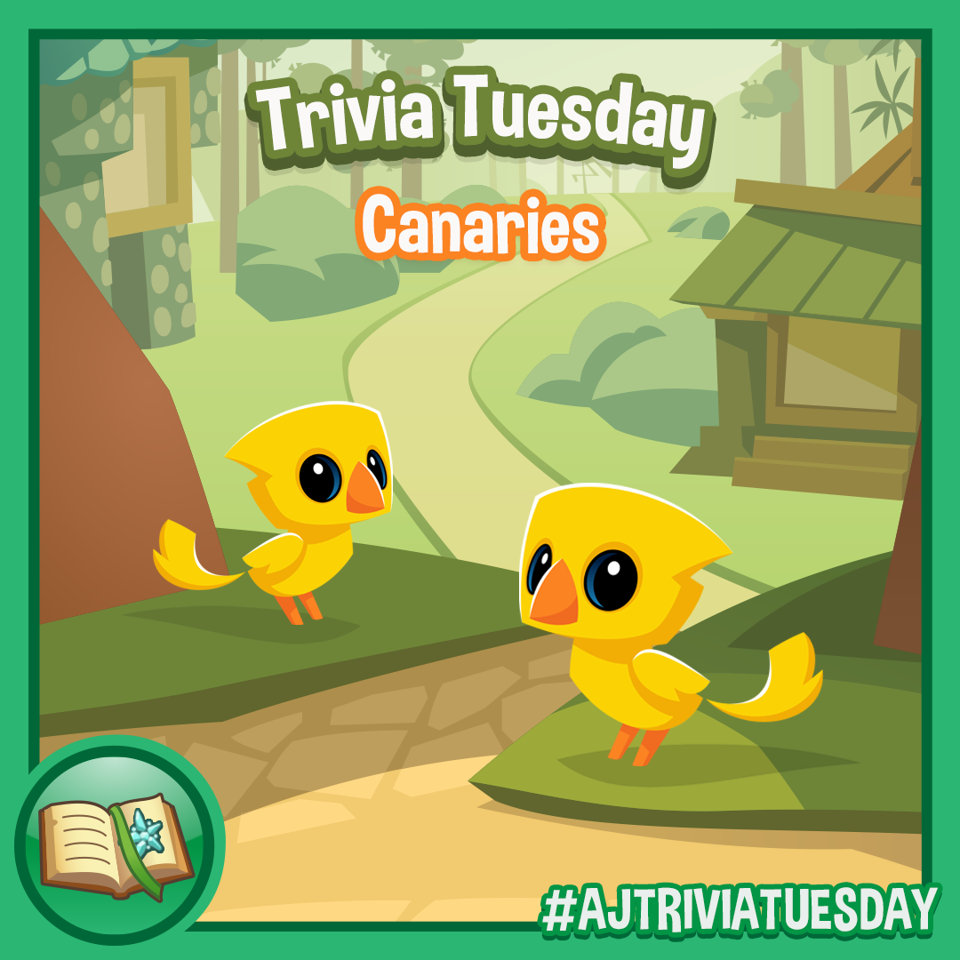 Trivia Tuesday Canaries - SQ