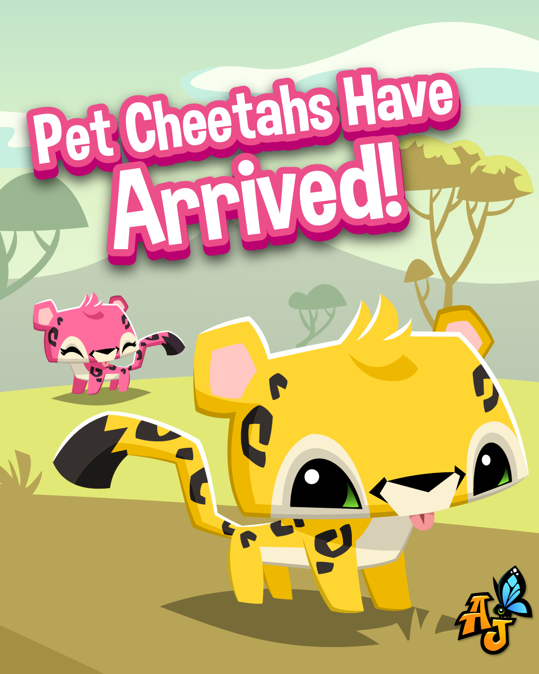 20250206 Pet Cheetahs Have Arrived!-02