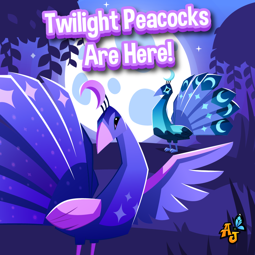 20240401 Twilight Peacocks are Here!-01