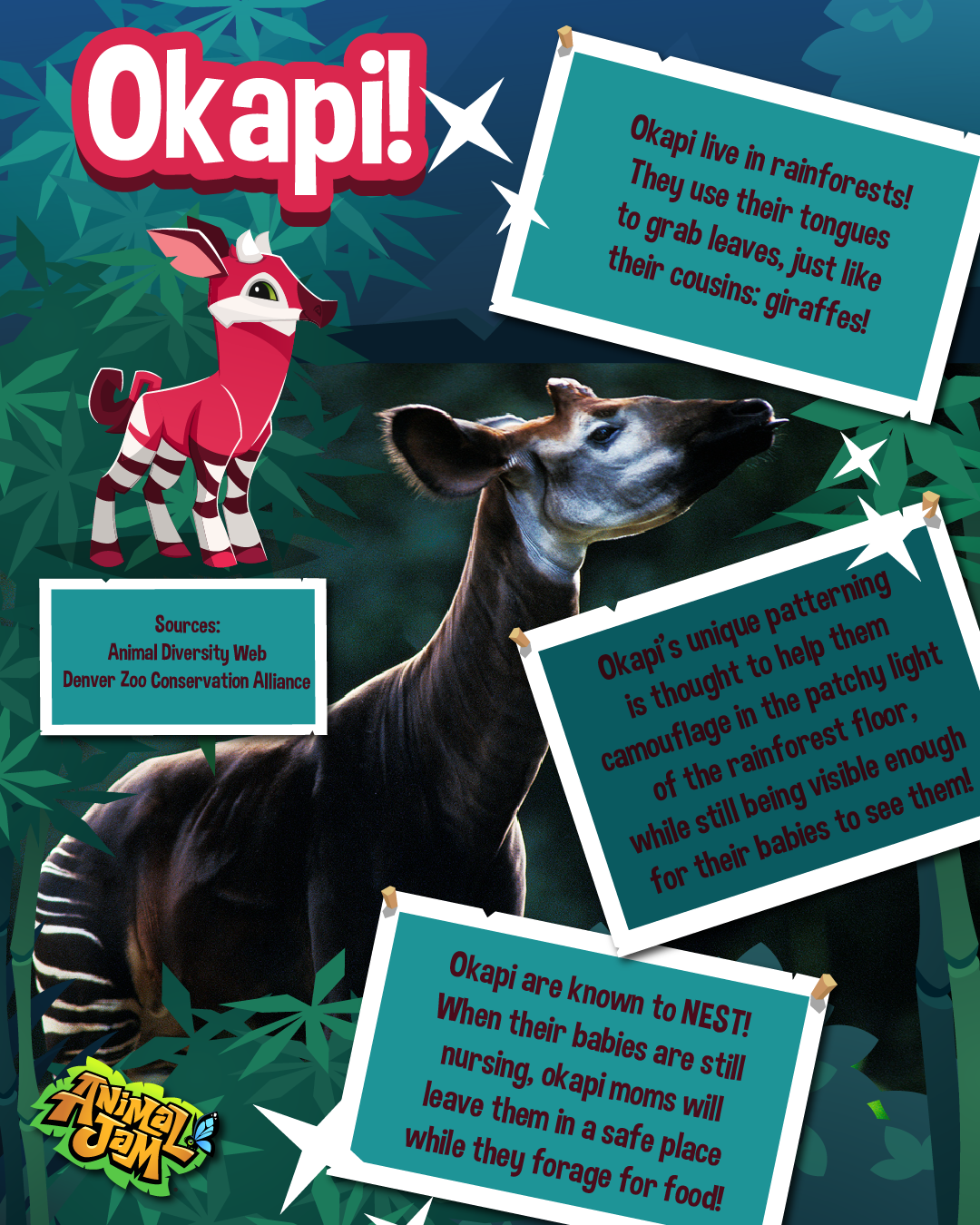 20250916 LiveAnimalFacts Tapir Okapi-01
