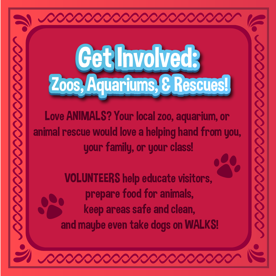 20241217 One Step Zoos&Rescues!-02