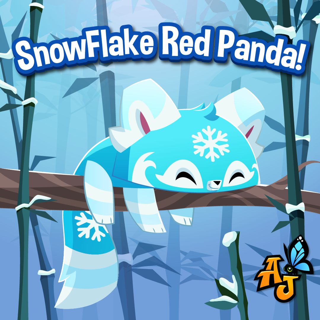 20231203 SnowFlake Red Pandas are here!-01