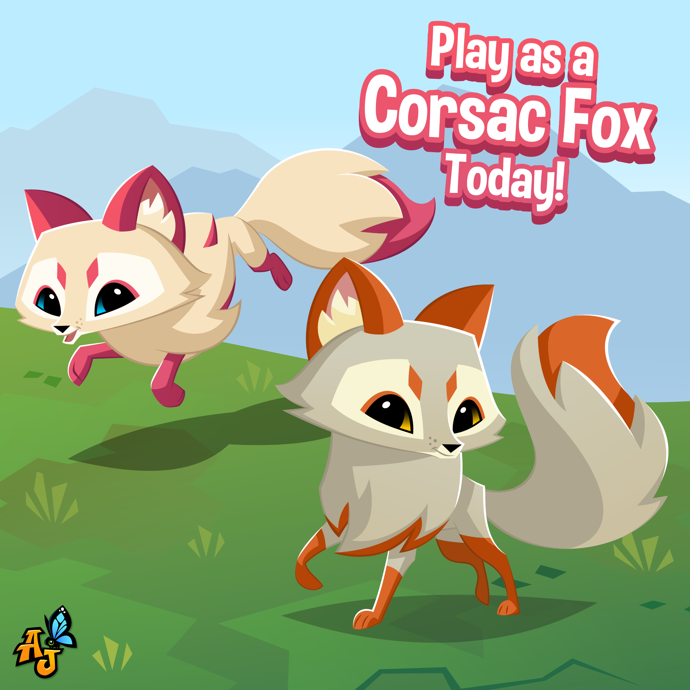 202402 Corsac Fox-01