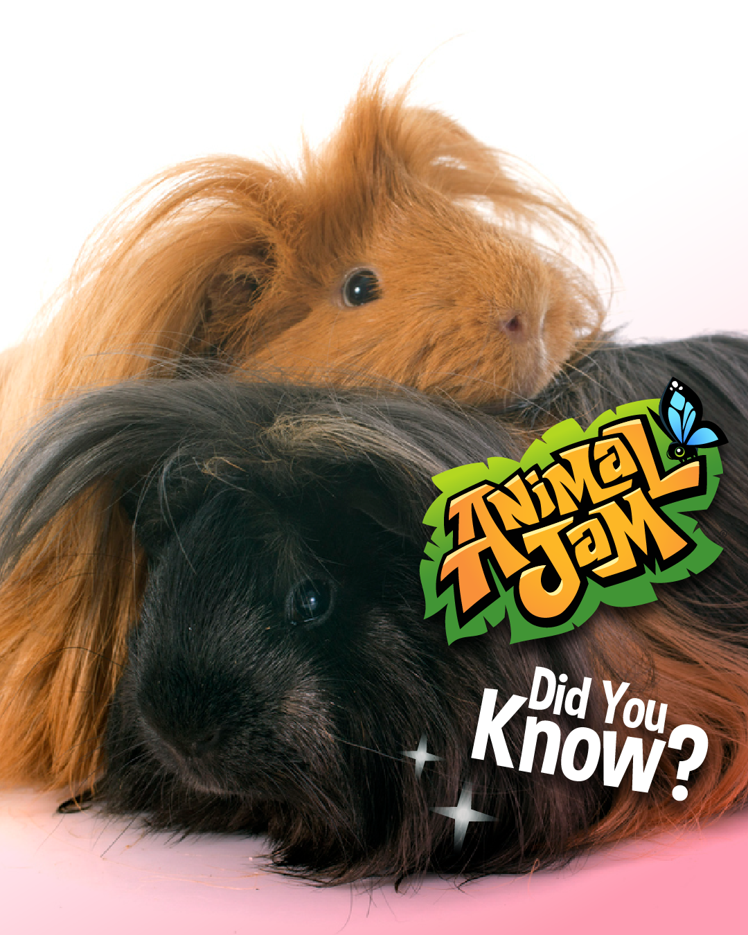 20260217 RealLifeAnimalFacts-05