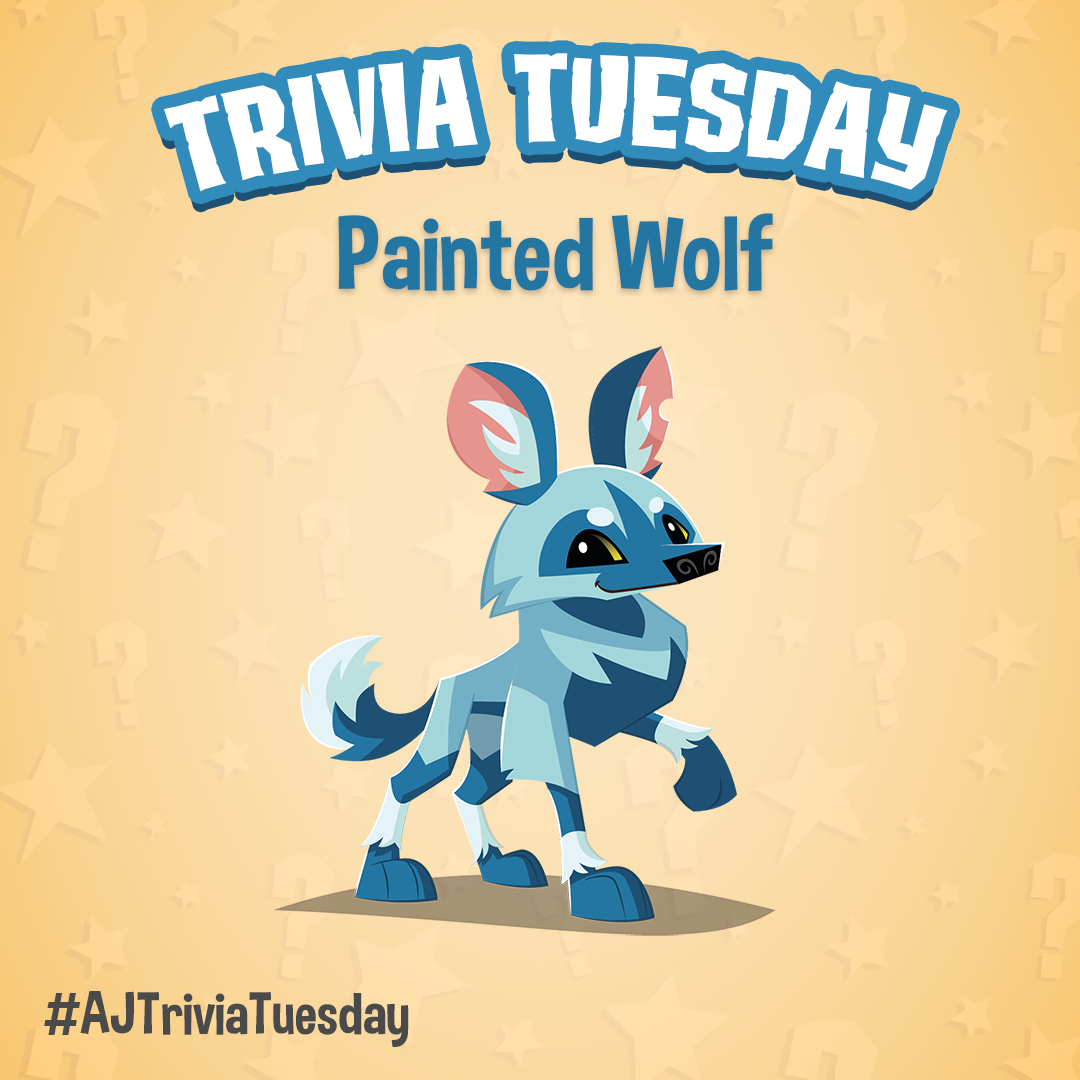 Trivia Tuesday - Painted Wolf! - The Daily Explorer