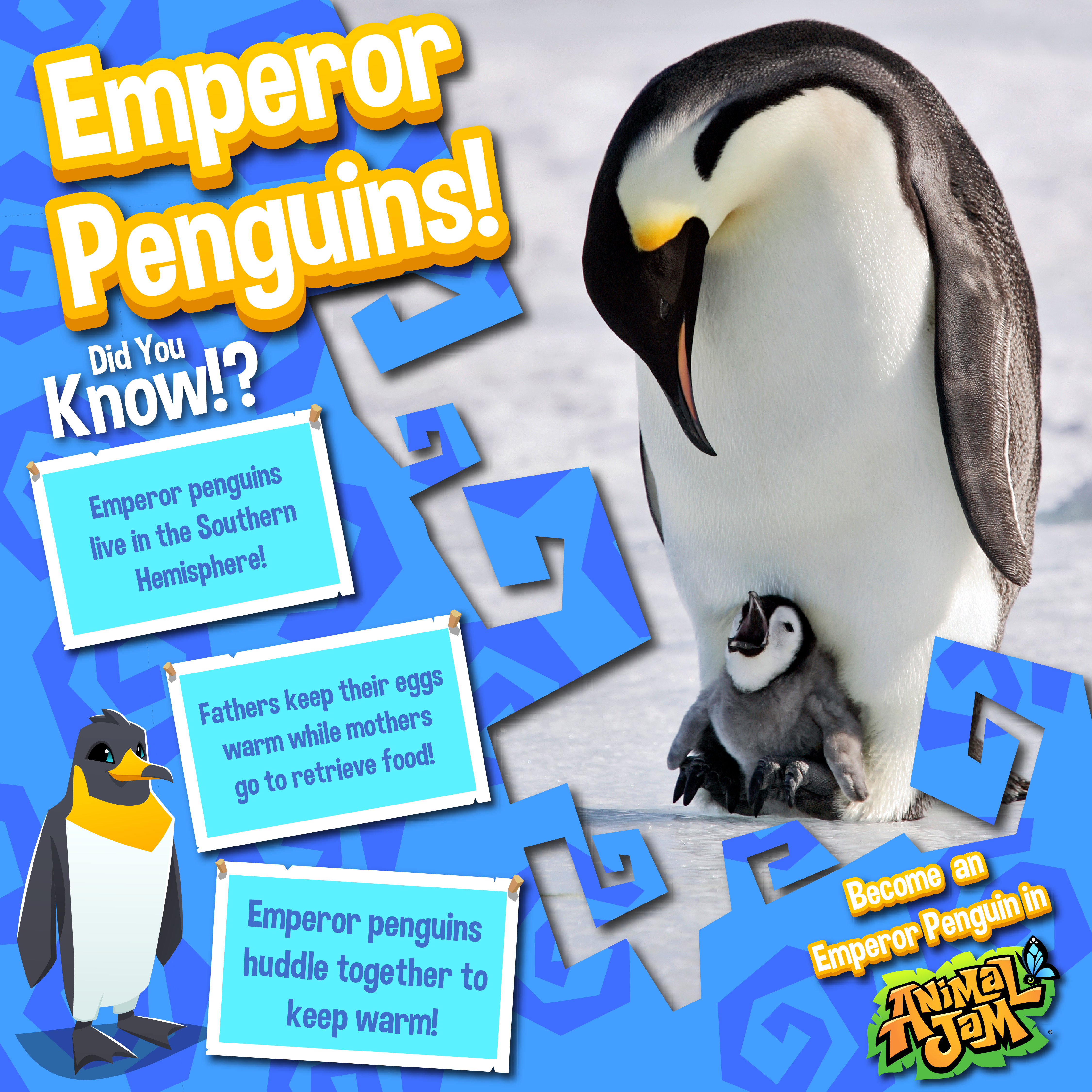 20221212 Real Live Animal Post Emperor Penguin-01