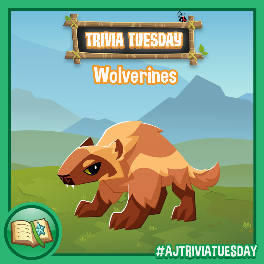 Trivia Tuesday • wolverines • SQ