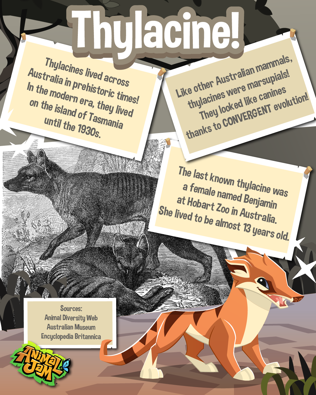 20250808 Live Animal Facts-01