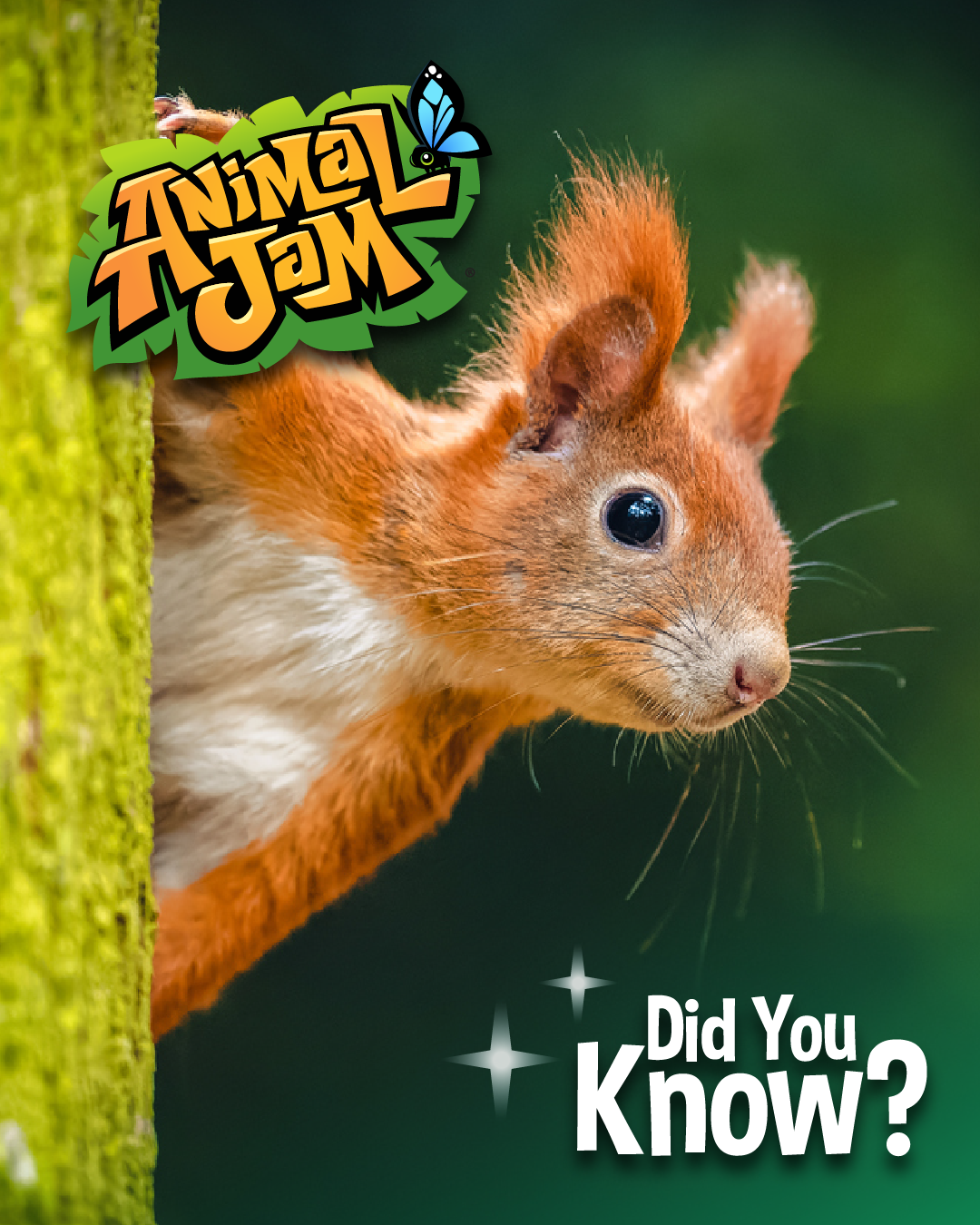 20260716 BadgerSquirrelFacts-01