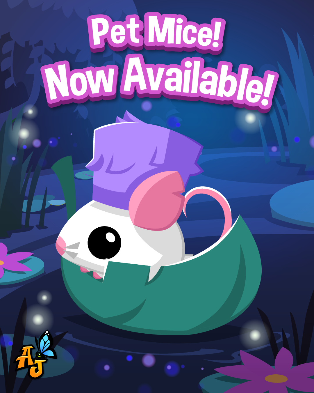 20250227 Pet Mice Are Here!-01