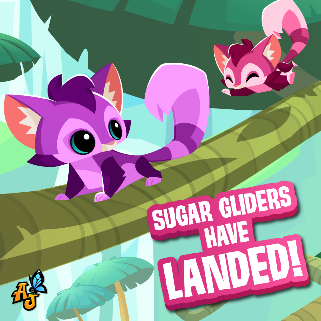 20240426 Sugar Gliders have Landed!-01