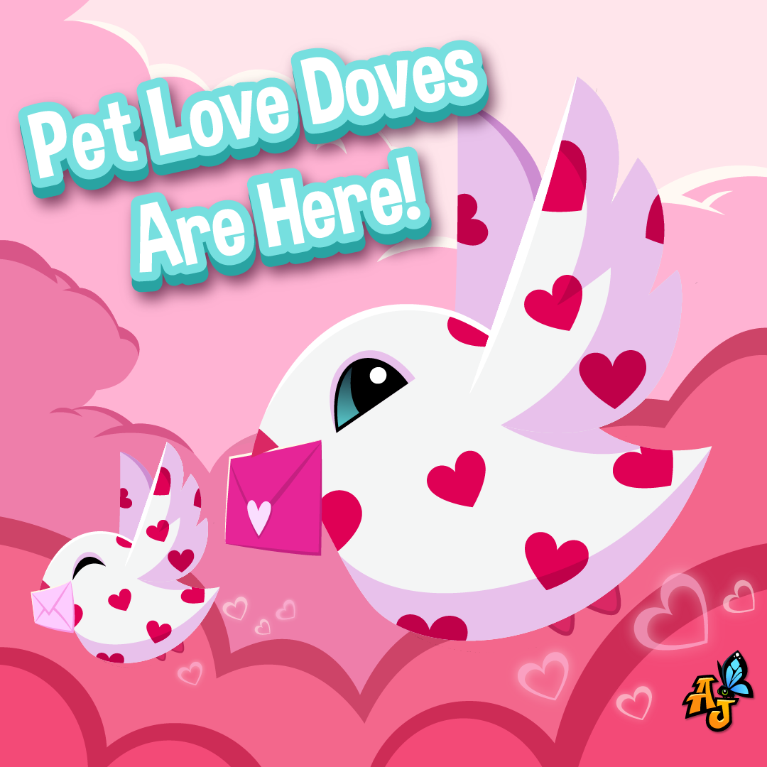 20240206 Pet Love Doves are Here!-01