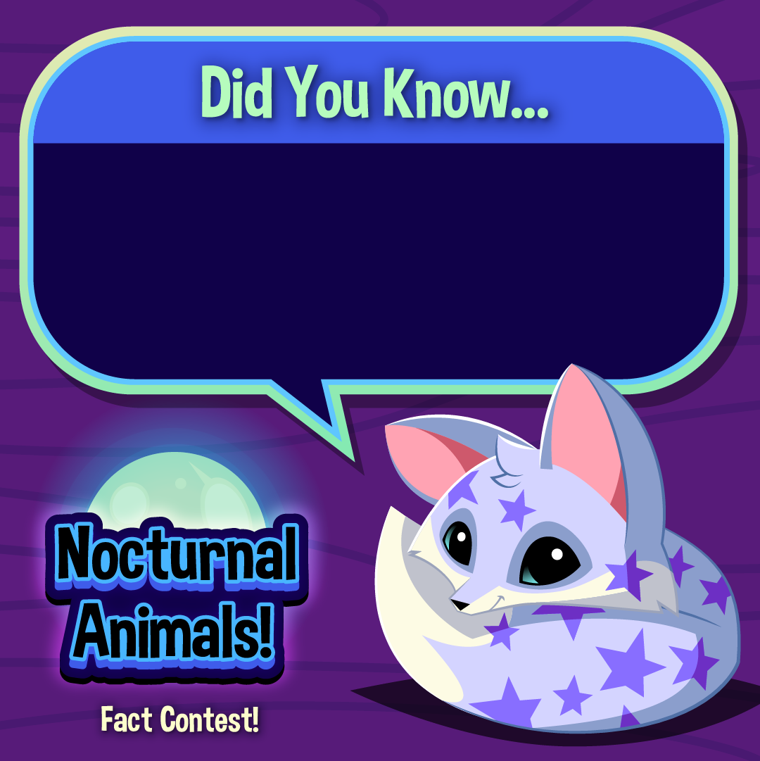 Nocturnal Animals Infographic Fact Contest