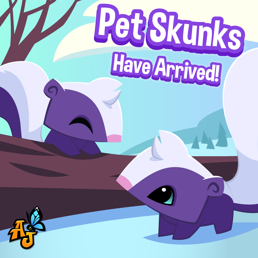 20250106 Pet Skunks Are here!-02