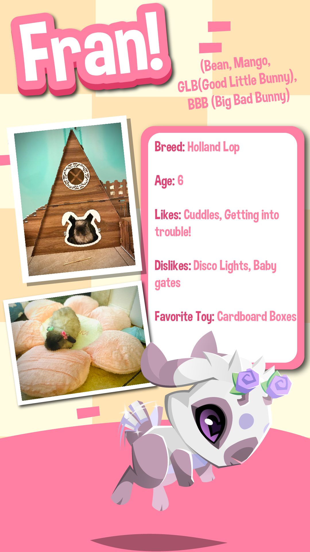 20250611 Bunny Feature!-07