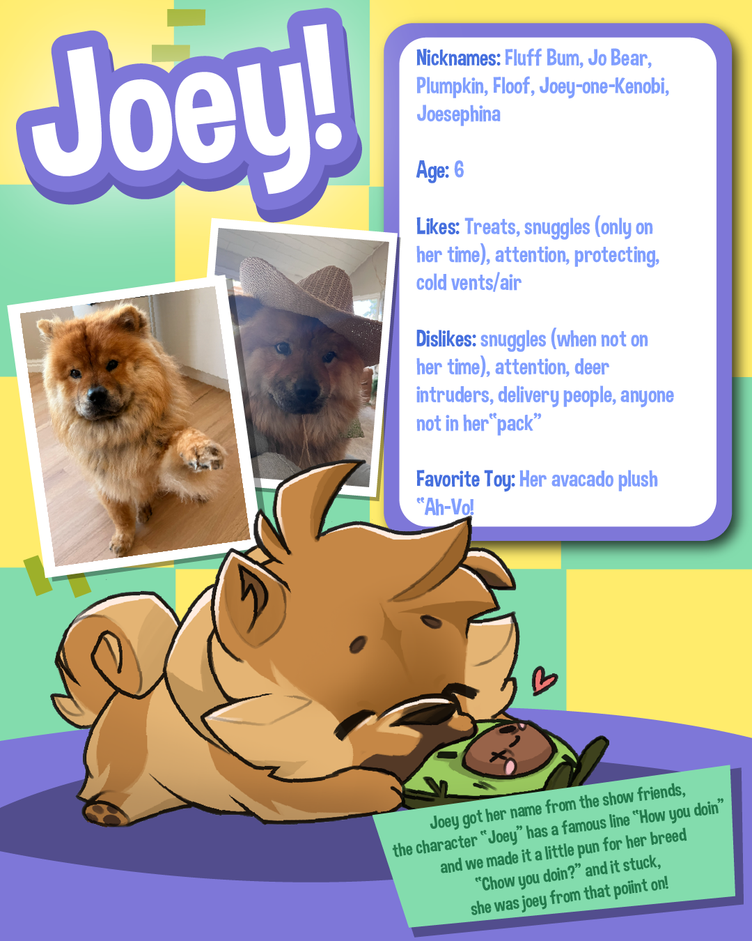 2026 AJHQ Chow chow Pet-02