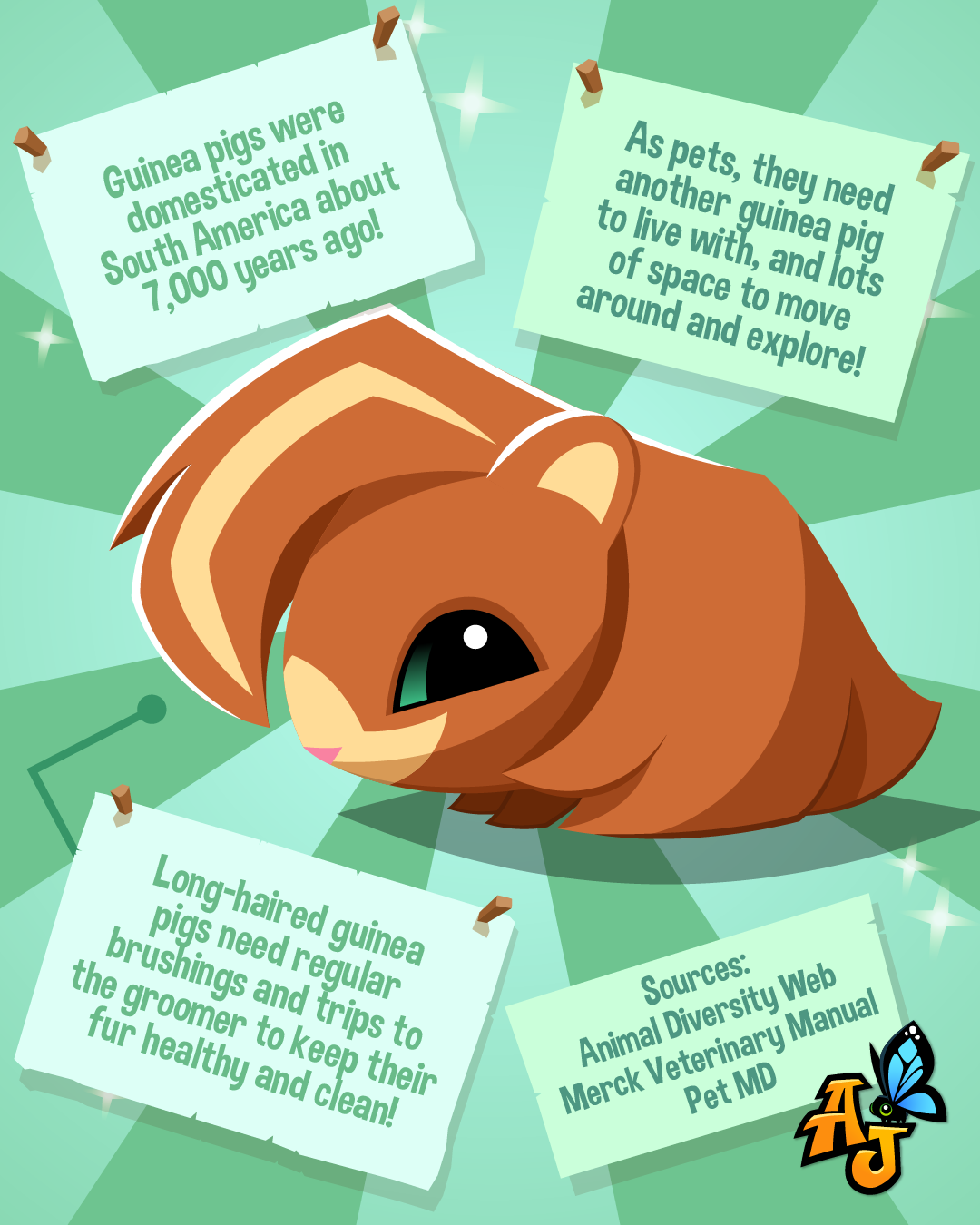 20260217 RealLifeAnimalFacts-07