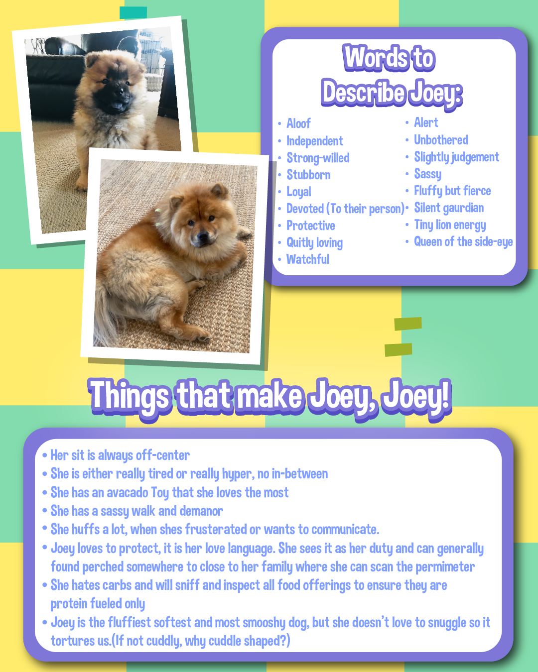 2026 AJHQ Chow chow Pet-03