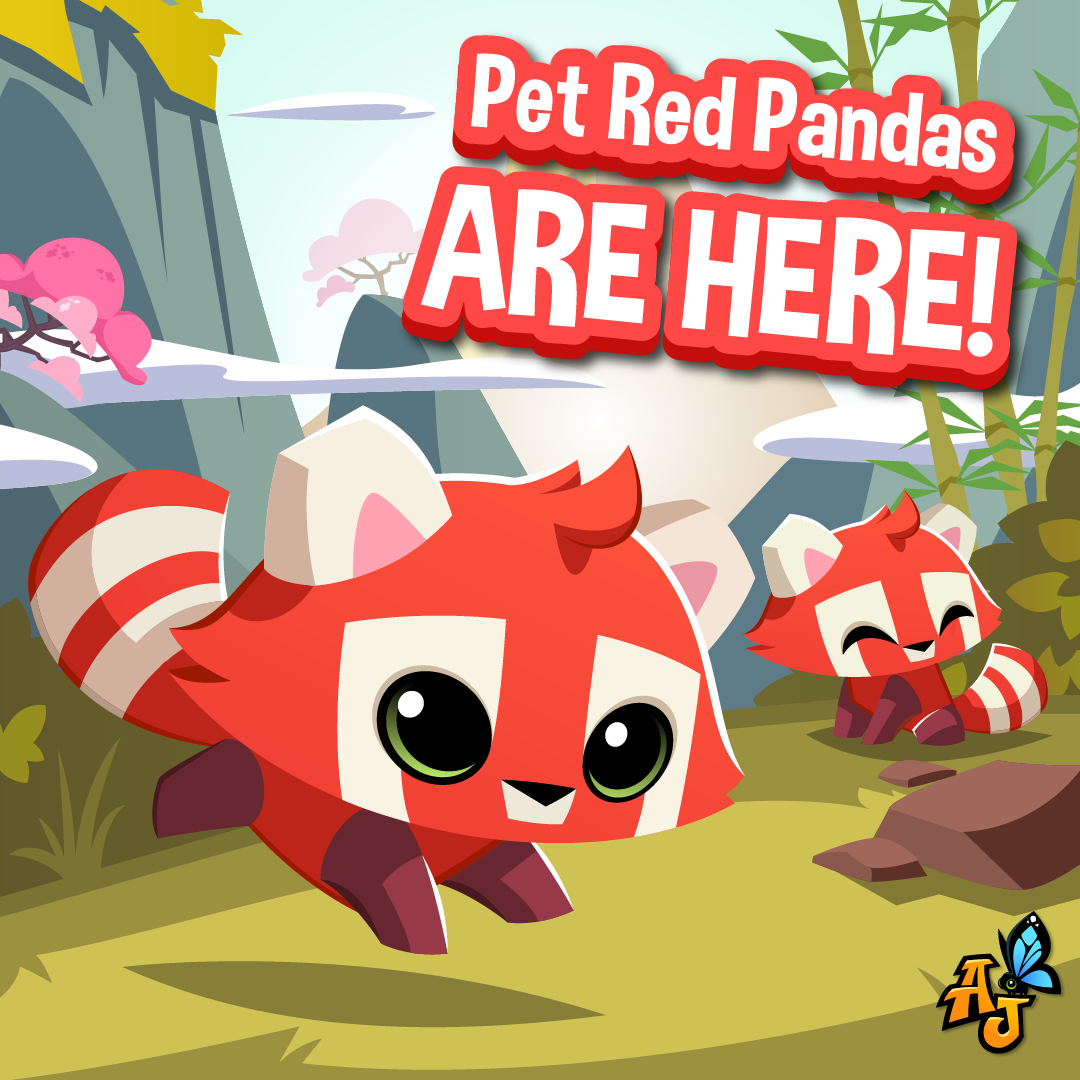 20240405 Pet Red Panda-s Are You here!-01