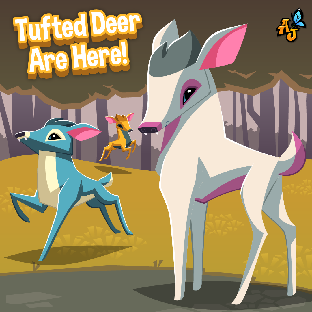 20201104 Tufted Deer-02