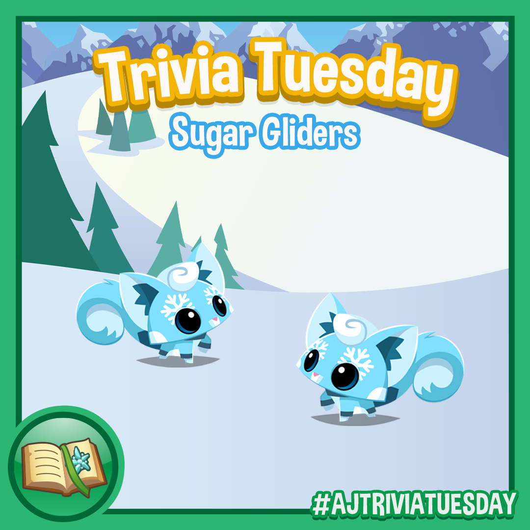 Trivia Tuesday Sugar Gliders