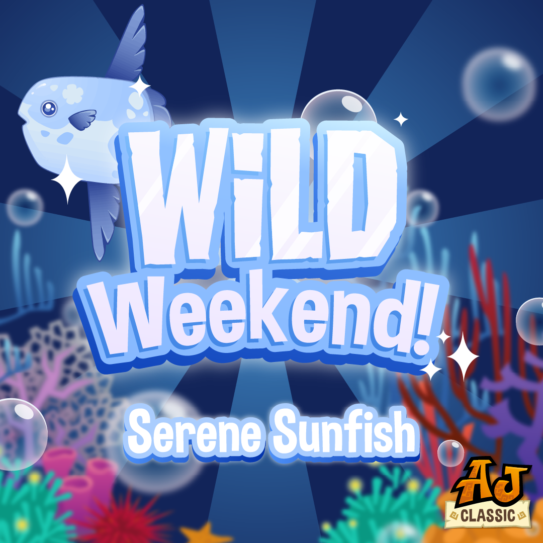 20260528 WildWeekends SunfishSet-01