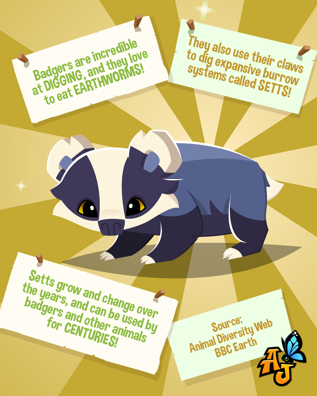 20260716 BadgerSquirrelFacts-07