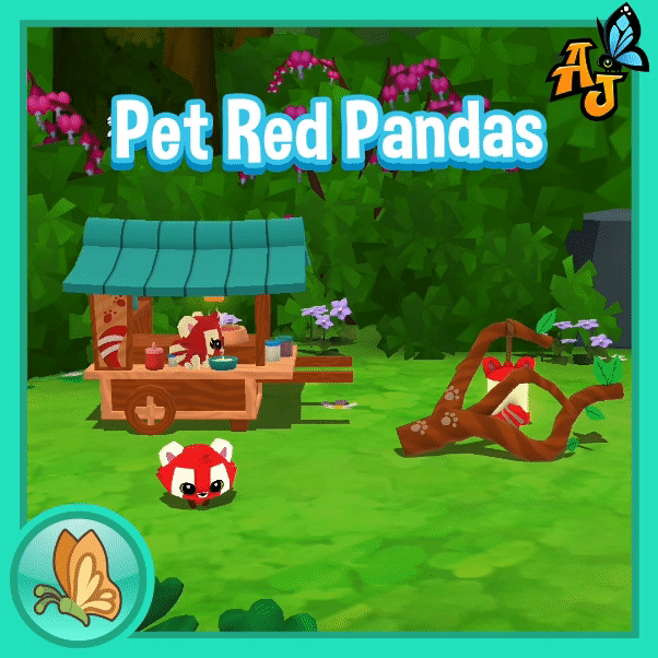 Pet Red Pandas!