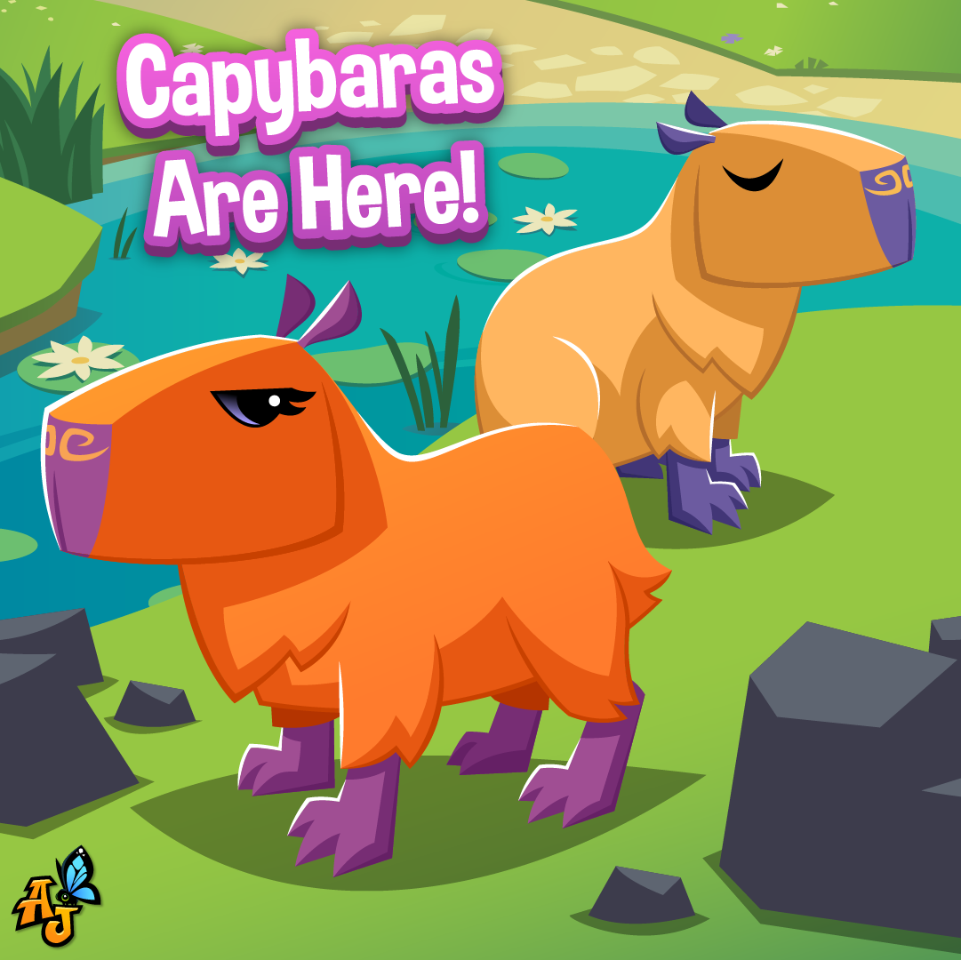 202112 Capybara-01