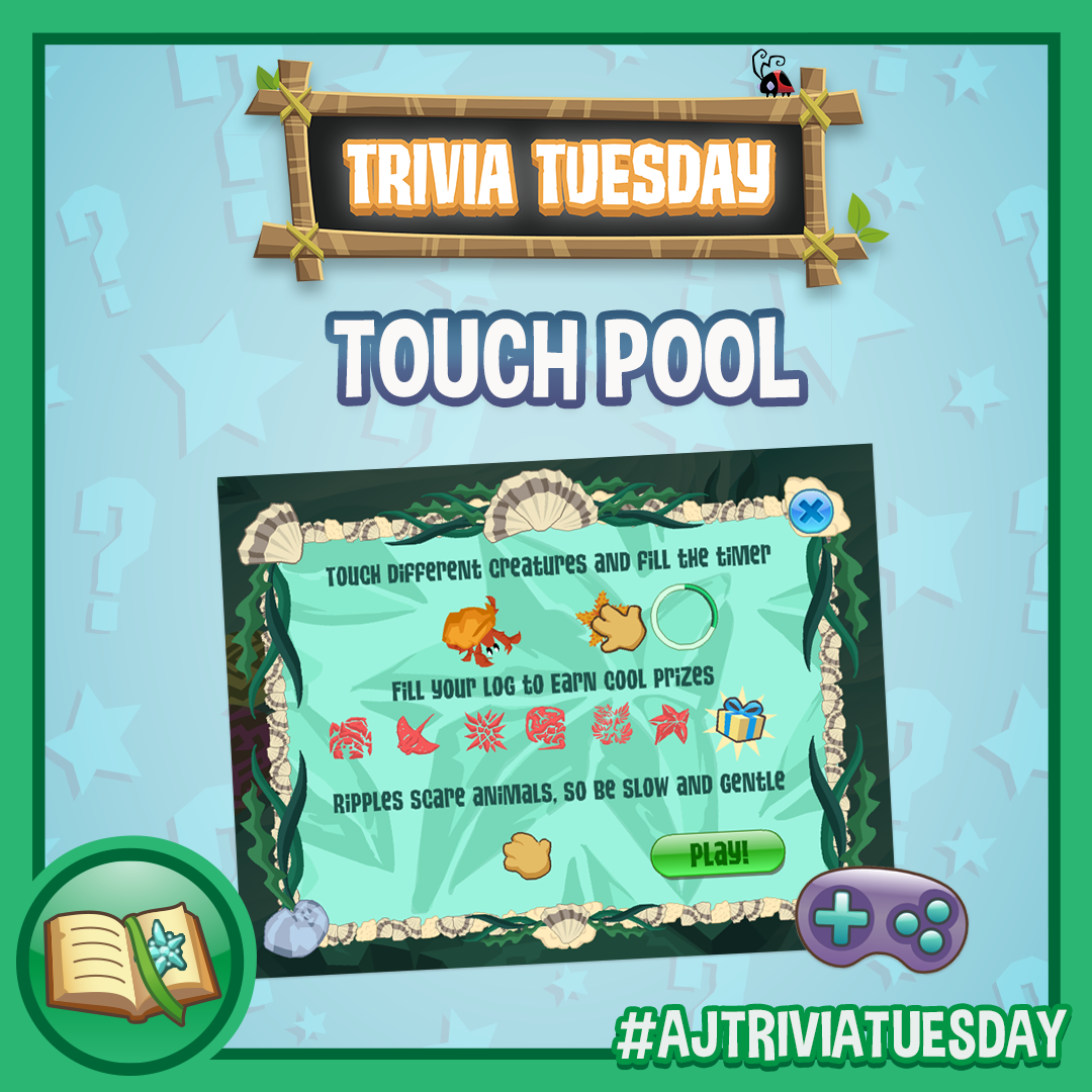 Trivia Tuesday • touch pool • SQ1