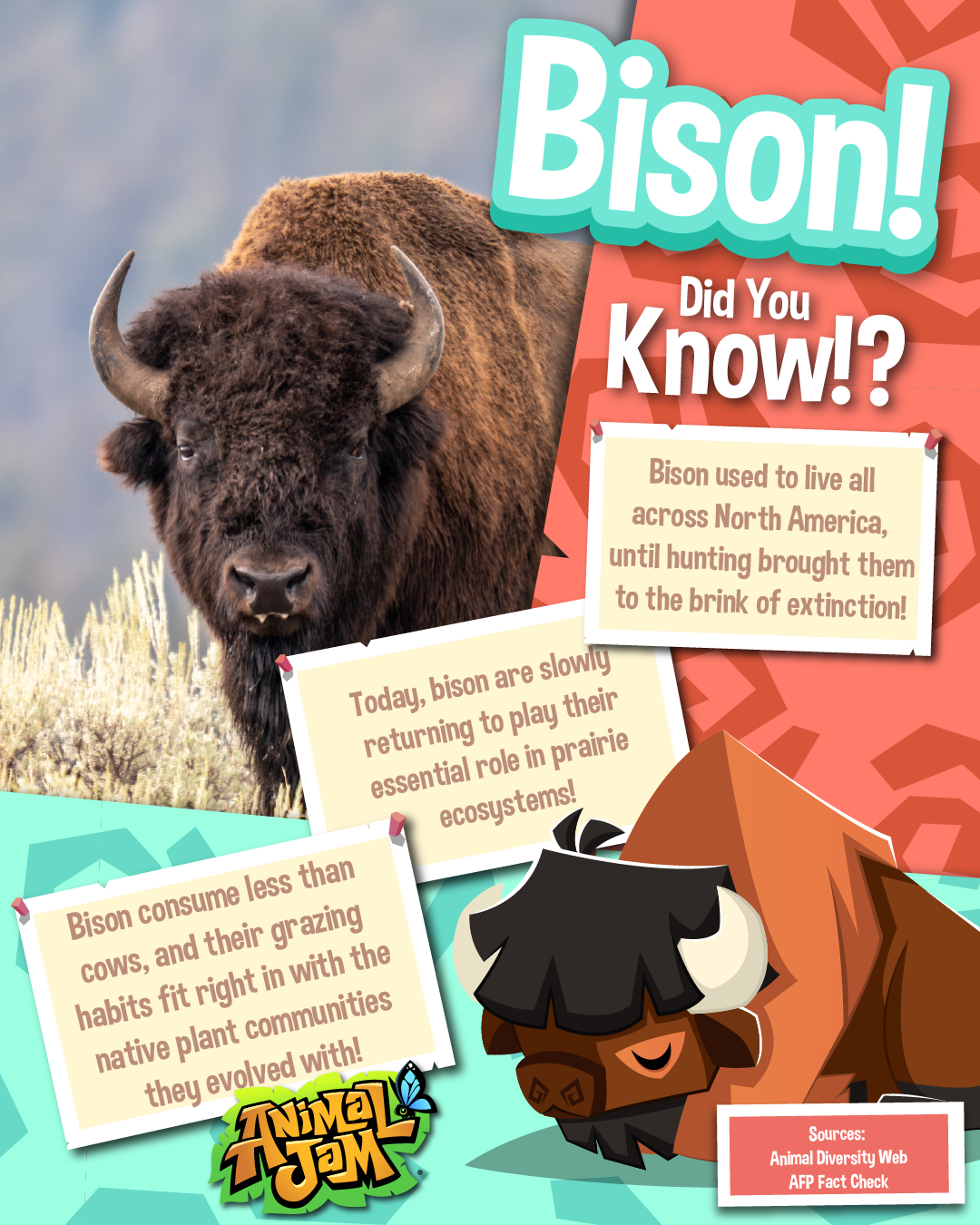20250519 Bison & Loons-01
