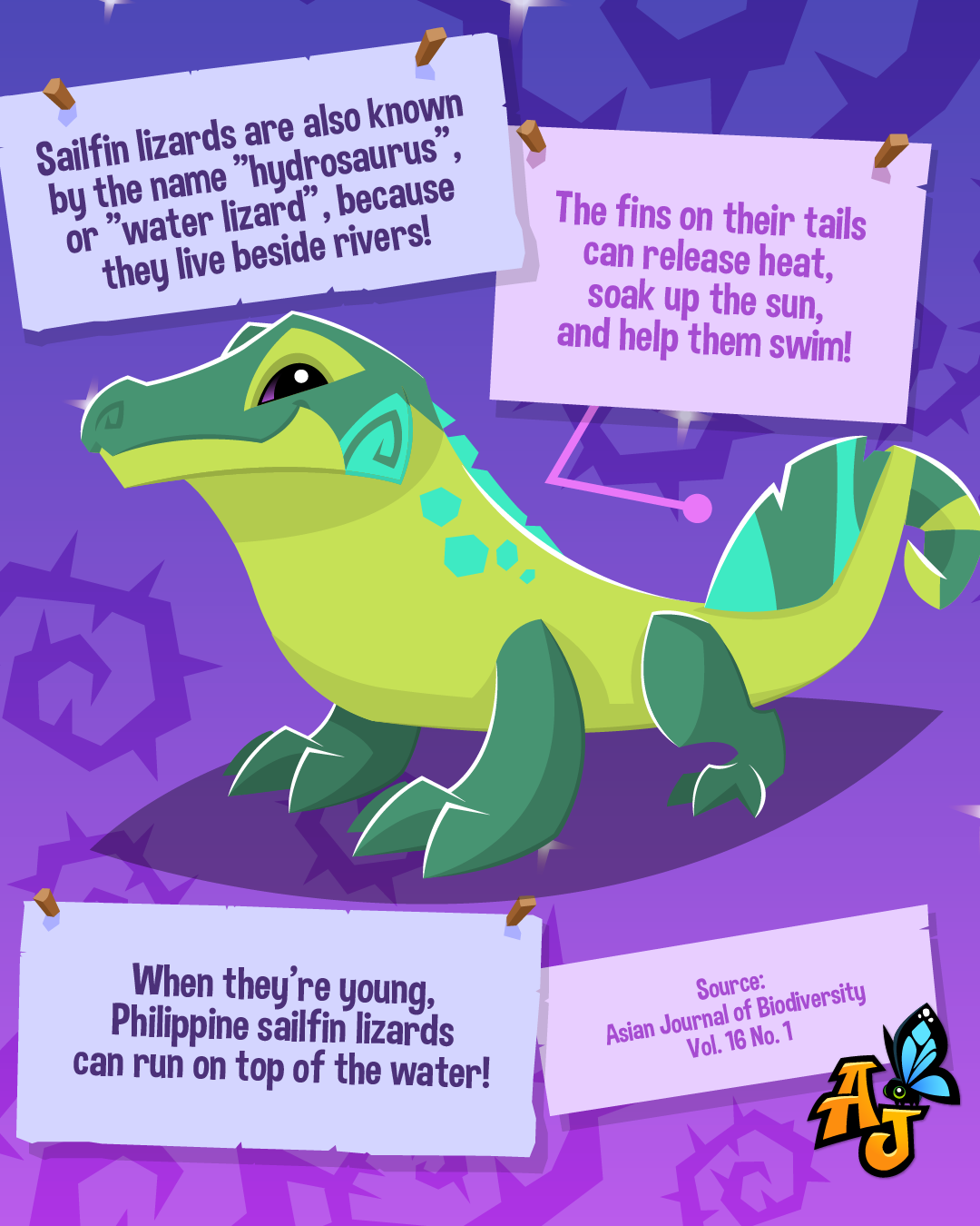 20261019 SailfinTarsierFacts-07