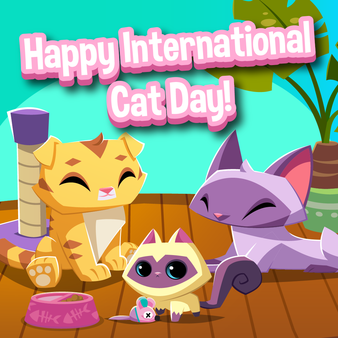 20240808 international Cat day-01