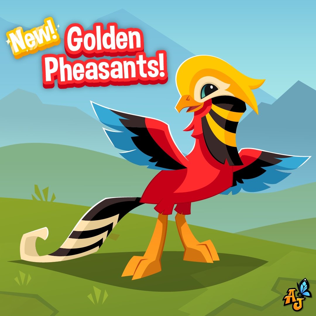 20220325 Golden Pheasants-01